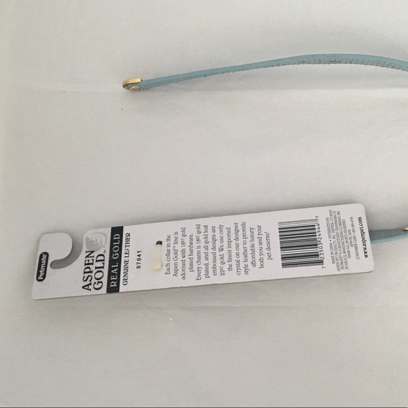 Aspen Gold Blue Collar - Picture 4 of 5